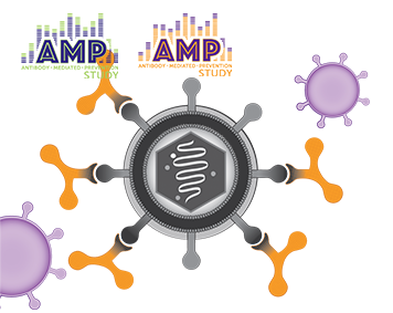 HIV virus with AMP