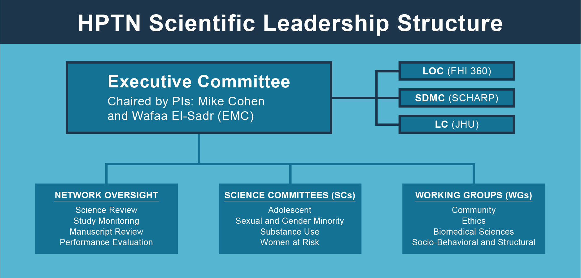 Network groups and committees chart