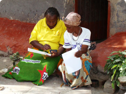 Women reviewing research notes