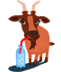 NPR Goats & Soda logo